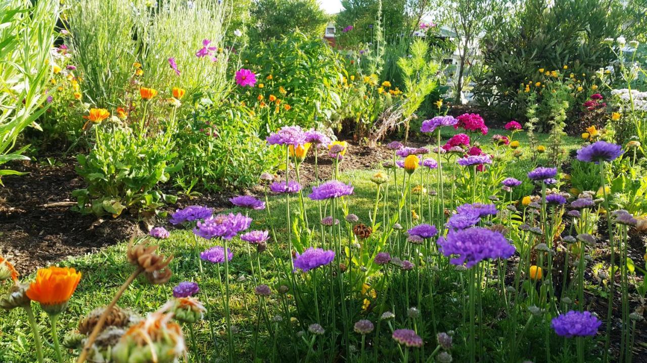 شقة Blooming Delight تاورانجا المظهر الخارجي الصورة